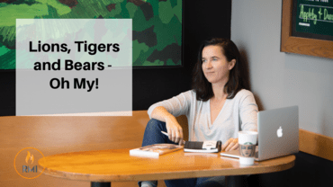 Lions, Tigers and Bears – Oh My!